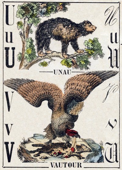 Letra U Unau (perezoso); V Buitre. Grabado en "Alfabeto de los animales salvajes". 9ª Serie. Imágenes de Epinal, Pellerin, impresor-editor, circa 1870. Grabados en madera, estarcidos. 16 páginas. Dim: 20 x 15 cm. Colección privada de French School