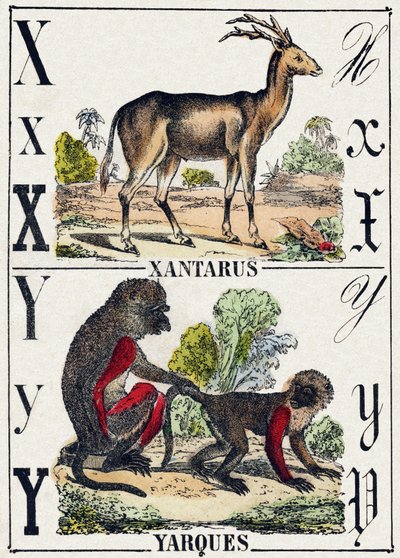 Letra X Xantarus; Y Yarques. Grabado en "Alphabet des animaux sauvages". 9ª Serie. Imaginería de Epinal, Pellerin, impresor-editor, circa 1870. Grabados en madera, estarcidos. 16 páginas. Dim: 20 x 15 cm. Colección privada de French School