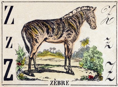 Letra Z Cebra. Grabado en "Alfabeto de animales salvajes". 9ª Serie. Imágenes de Epinal, Pellerin, impresor-editor, circa 1870. Grabados en madera, estarcidos. 16 páginas. Dim: 20 x 15 cm. Colección privada de French School