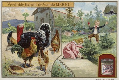 Tarjeta Liebig con aves de corral de French School