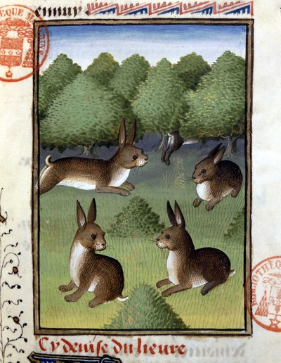Liebres - en "Libro de Caza de Gaston Phoebus, Conde de Foix, Señor de Bearn" de French School