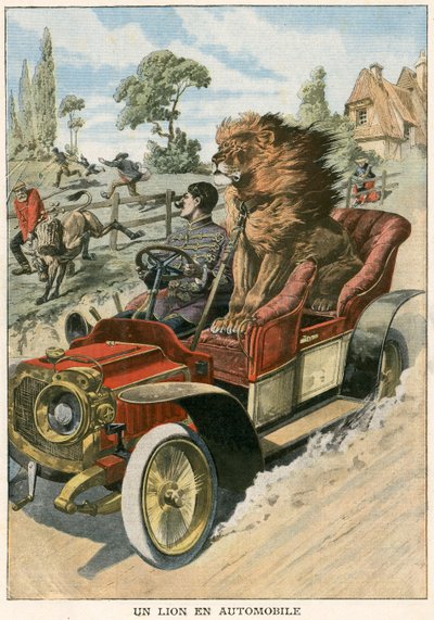 León en un automóvil de French School