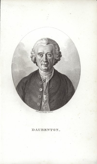 Louis-Jean-Marie Daubenton de French School