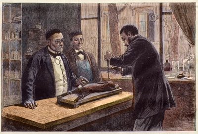 Louis Pasteur (1822-1895), químico y microbiólogo francés, experimentando con un conejo cloroformado durante su búsqueda de una cura para la rabia de French School