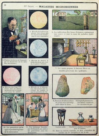 Louis Pasteur y enfermedades bacterianas, de Les Sciences Physiques et Naturelles, París, 1908 de French School