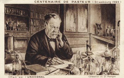 Louis Pasteur de French School