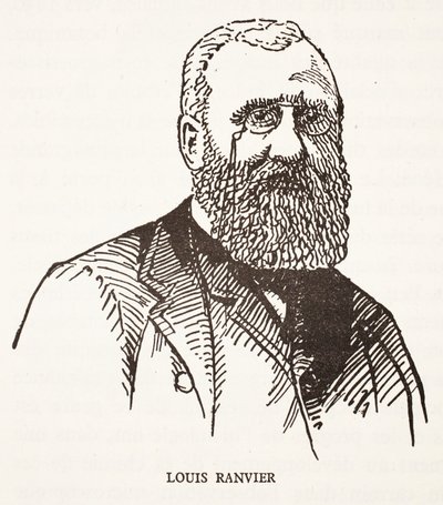 Louis Ranvier de French School