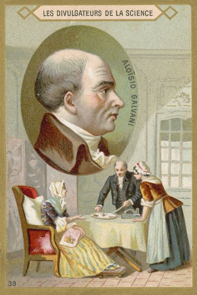 Luigi Galvani, médico y físico italiano de French School
