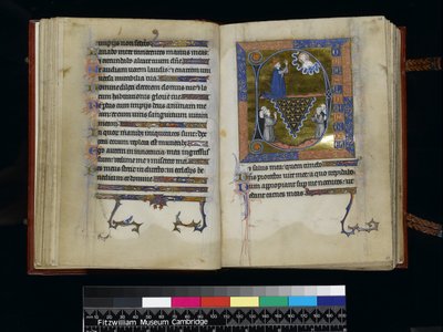 MS 300 f25v-26r, David reza a Dios, del Salterio y Horas de Isabel de Francia, París, c.1265-70 de French School