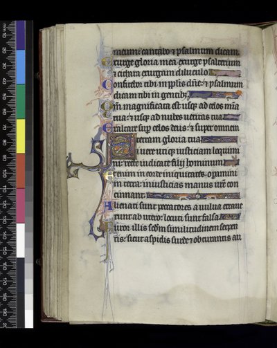 MS 300 f.61v, folio del Salterio y Horas de Isabel de Francia, París, c.1265-70 de French School