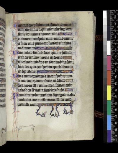 MS 300 f.68r, folio del Salterio y Horas de Isabel de Francia, París, c.1265-70 de French School