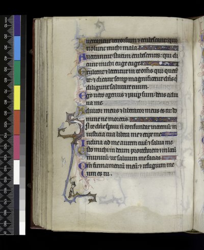 MS 300 f.73v, del Salterio y Horas de Isabel de Francia, París, c.1265-70 de French School