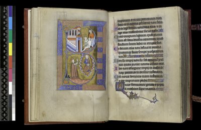 MS 300 f.XIII-1r, del Salterio y Horas de Isabel de Francia, París, c.1265-70 de French School