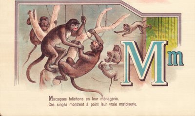M: Macacos folletos en su menagerie, Estos monos muestran su verdadera astucia de French School