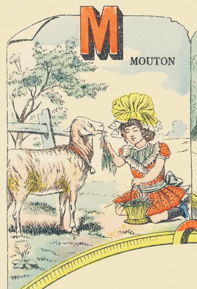 M: oveja de French School