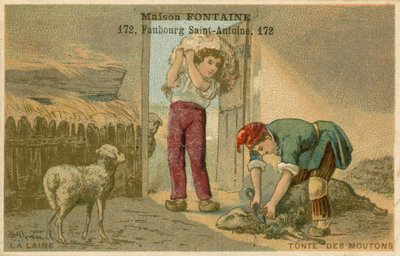 Tarjeta comercial de Maison Fontaine, esquila de ovejas de French School
