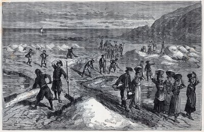 Salinas de Bretaña en el siglo XIX - Grabado en "Ciencias llevadas a los agradecidos" - física y química por Alexis Clerc - Finales del siglo XIX - Colección privada de French School
