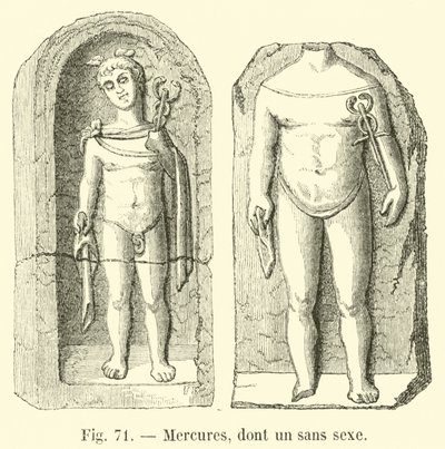 Mercurios, uno sin sexo de French School