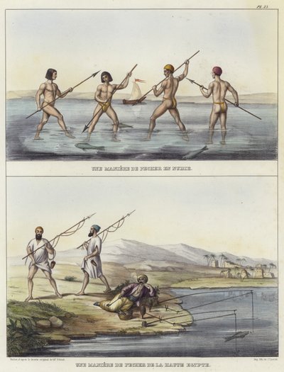 Métodos de pesca en Nubia y Egipto de French School