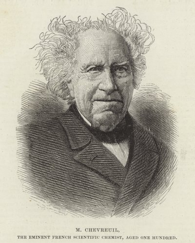 Michel Eugène Chevreul de French School