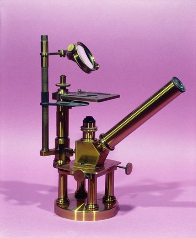 Microscopio perteneciente a Louis Pasteur (1811-95) de French School