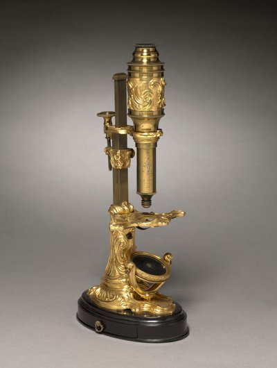 Microscopio, c.1745-1765 de French School