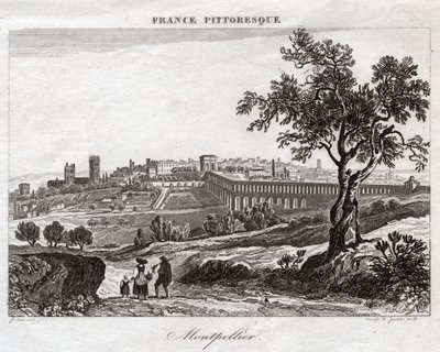 Montpellier de French School