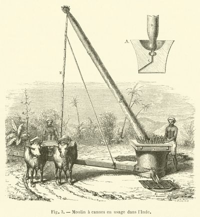 Molino de cañas en uso en la India de French School