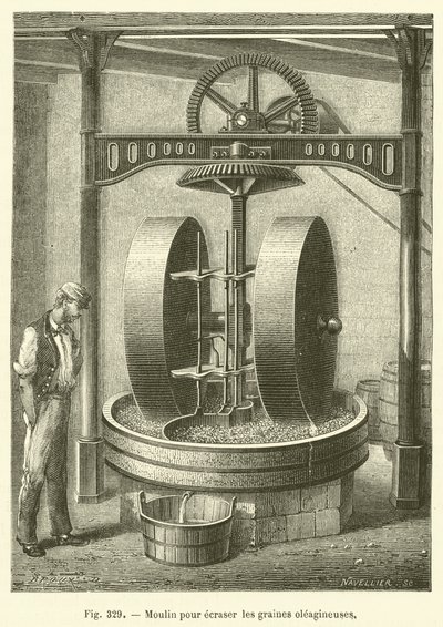 Molino para triturar semillas oleaginosas de French School