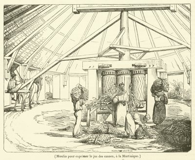 Molino para exprimir el jugo de las cañas, en Martinica de French School