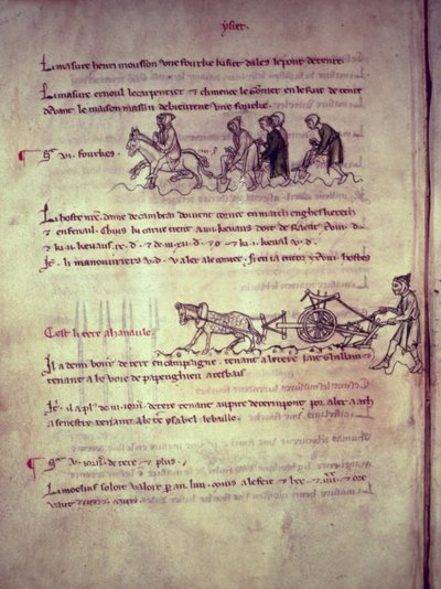 Ms 1175 f.156v Labores, de Vieil Rentier d