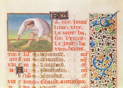Ms 134 Junio: Siega, de un Libro de Horas de French School