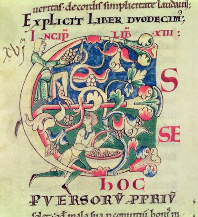 Inicial historiada E que representa la cosecha de uvas, de Moralia in Job del Papa Gregorio el Grande de French School