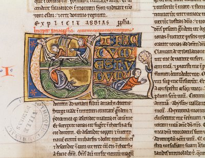 Ms 21 Fol.163v Inicial historiada E que representa a Jonás siendo arrojado al mar, de una biblia no especificada de French School