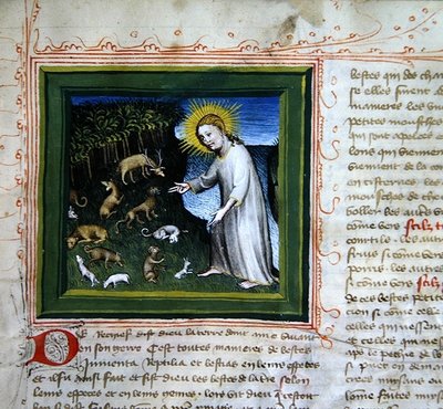 Ms 313 Creación de los animales, de la Biblia de los Grandes Agustinos de French School