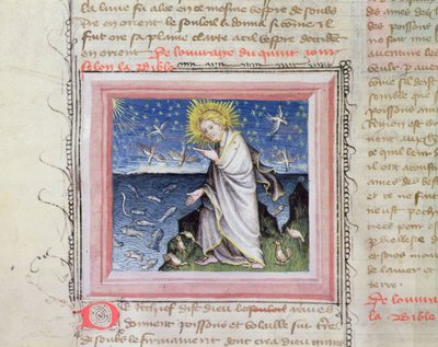 Ms 313 Creación de los Animales, de la Biblia des Grands Augustins de French School