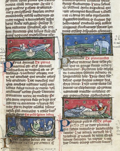 Ms 320 Fol.116 Monstruos marinos, de 