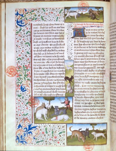 Ms 3717 Perros de caza, del Livre de la Chasse por Gaston Phebus de Foix (1331-91) de French School