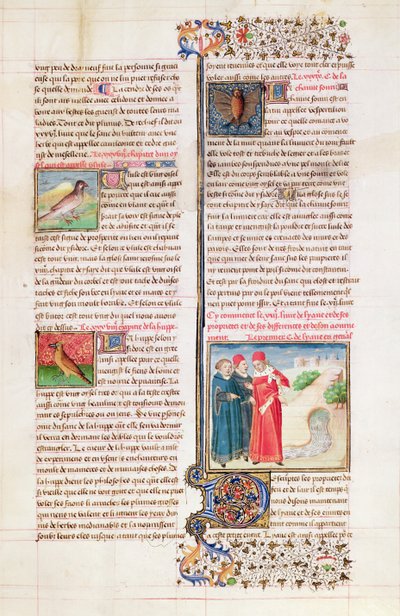 Ms 399 fol.149 Las propiedades de la tortuga, la abubilla y el murciélago, del 