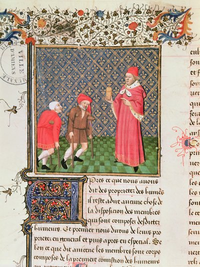 Ms 399 fol.35v Mendigos, del Livre des Proprietes des Choses de Barthelemy l
