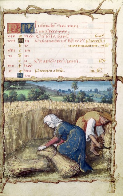 El mes de julio: cosechando y recolectando trigo, de un Libro de Horas, 1490 de French School