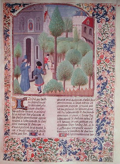 Ms 5064 fol.105r Plantando árboles, del Livre des Prouffitz Champestres de Pietro de Crescenzi (1230-132021) de French School