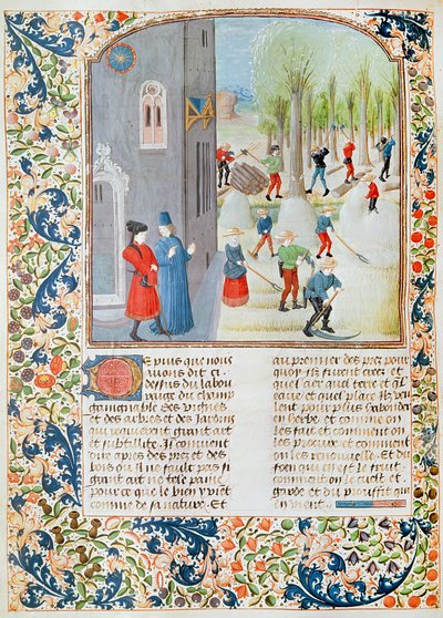 Corte de árboles y cosecha, del Livre des Prouffitz Champestres por Pietro de Crescenzi (1230-1320) de French School