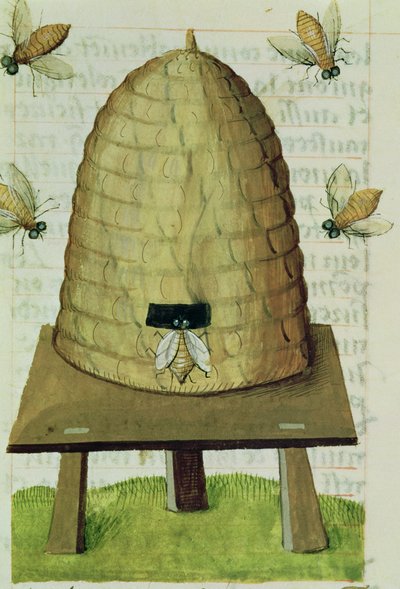 Colmena y Abejas, del Gran Herbario de French School