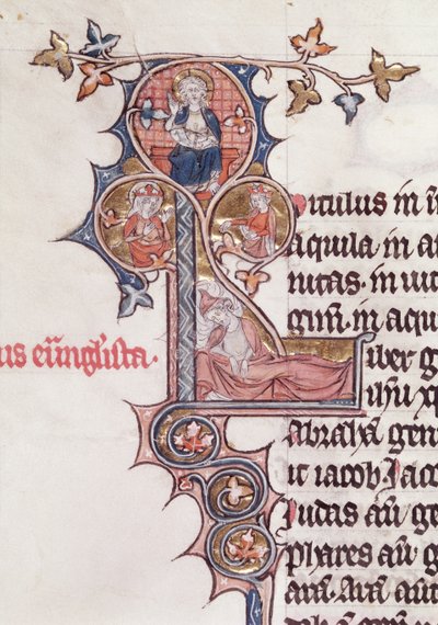 Ms 7 fol.199v Letra historiada L que representa el Árbol de Jesé, de la Biblia de Jean d