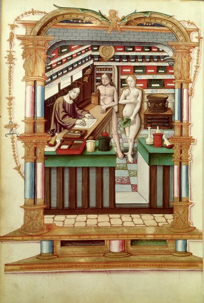 Ms Fr 1537 Cristo el Farmacéutico con Adán y Eva, de Chants royaux sur la Conception couronnee du Puy de Rouen de French School