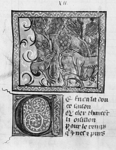 Ms Fr 1580 El zorro, el lobo y el perro, de Le Roman de Renart de French School
