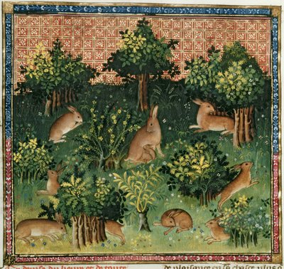Liebres en un Bosque, del Libro de la Caza por Gaston Phebus de Foix de French School