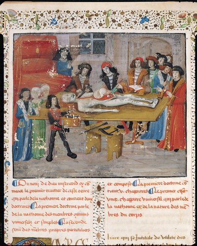 Ms H 184 fol.14v Lección de disección en la Facultad de Medicina de Montpellier, de 