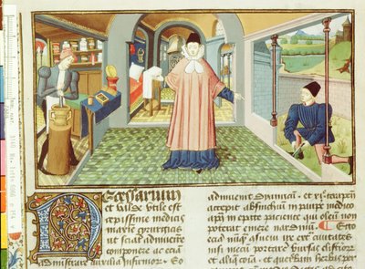 Ms Lat 6966 fol.154v Cortando plantas y preparando medicina, del Antidotario por Bernard de Gordon de French School